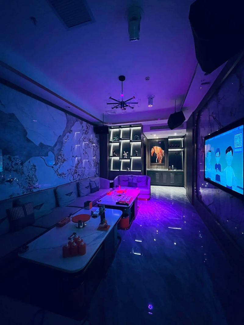 衡水商务ktv新玩法-安平县ktv预订